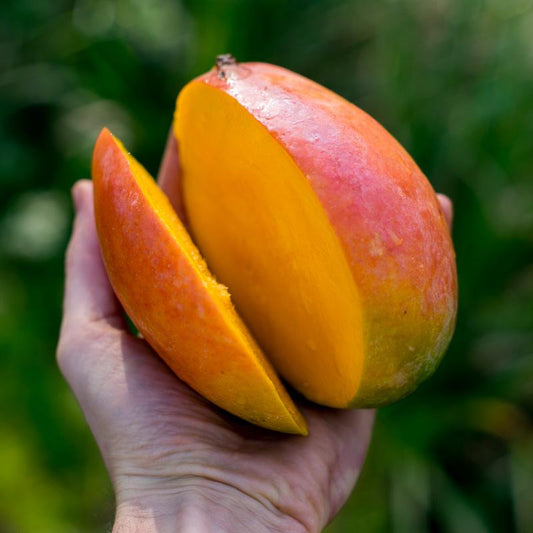 Mango Keitt