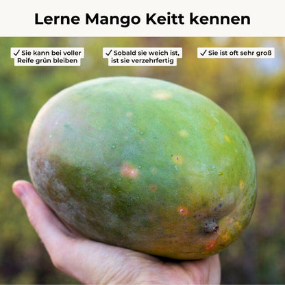 Mango Keitt