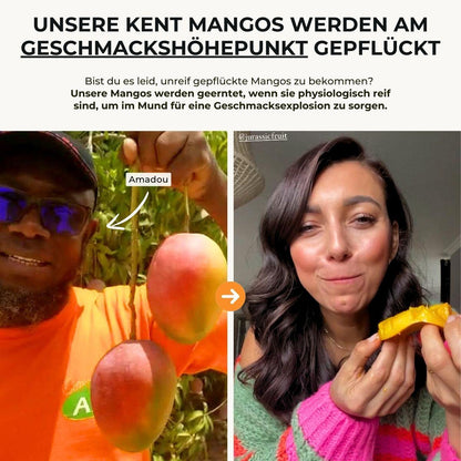 Mango Kent