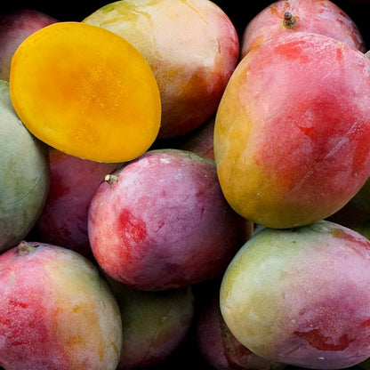 Mango Kent
