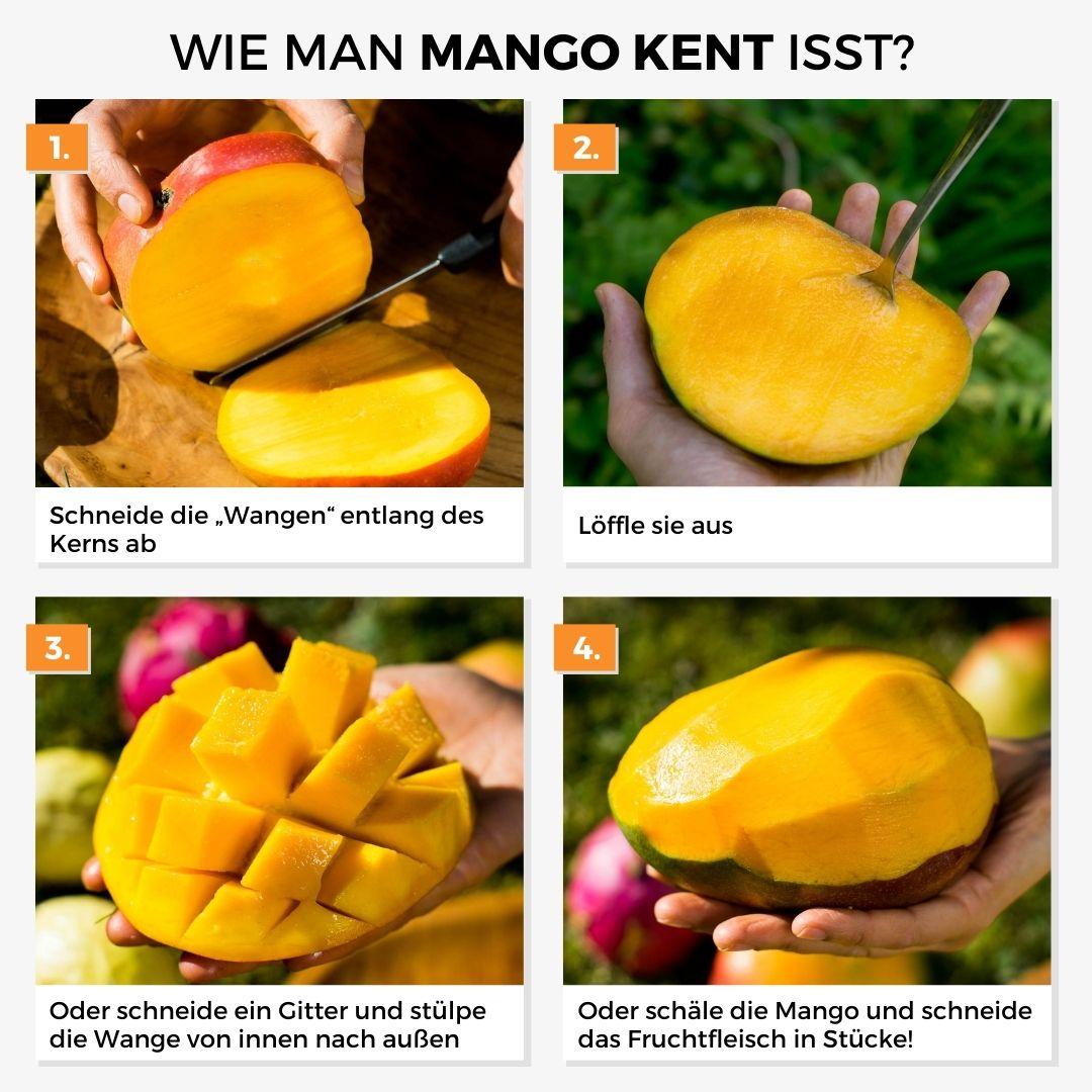 Mango Kent