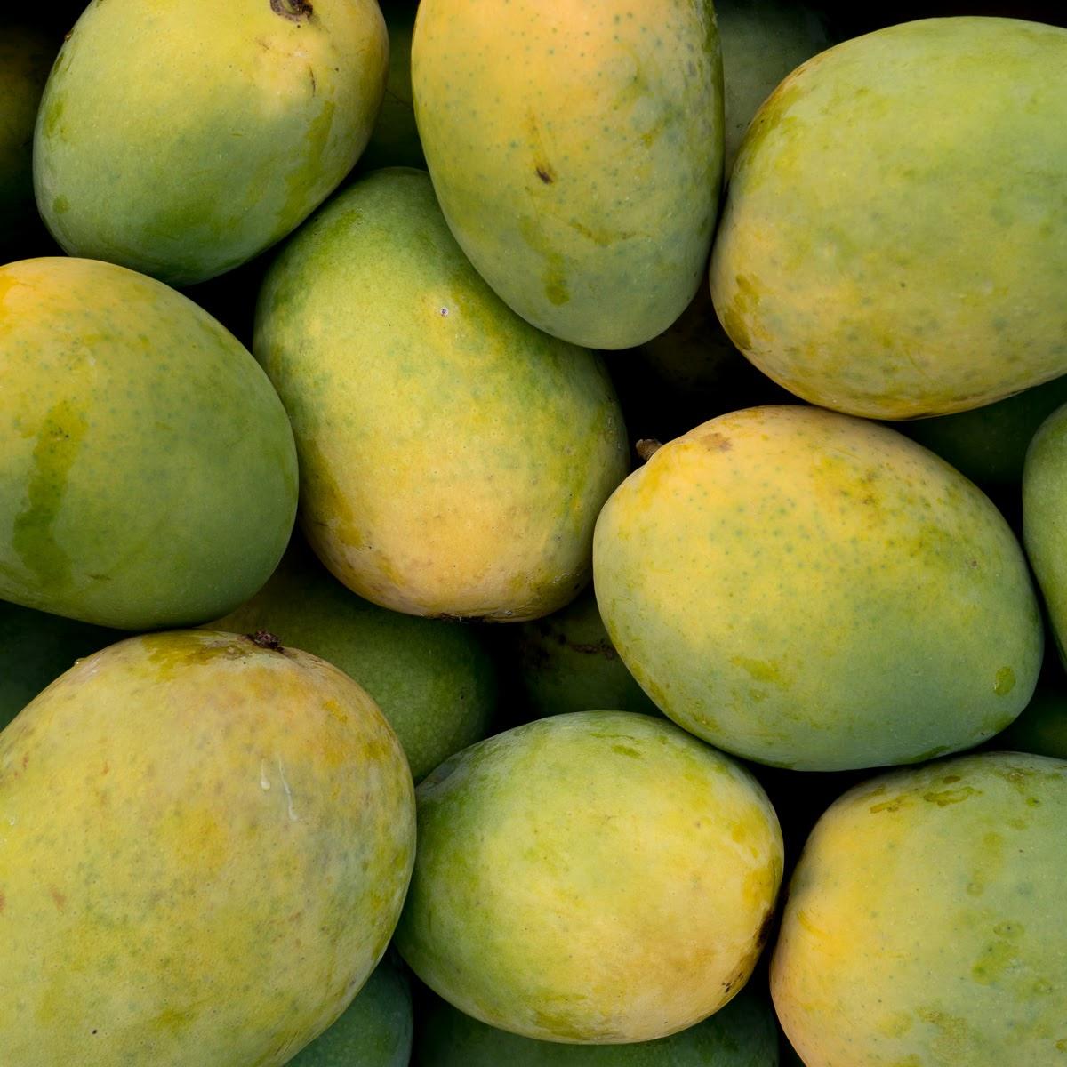 Mango Langra