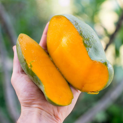 Mango Manalagi