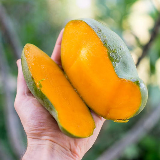 Mango Manalagi