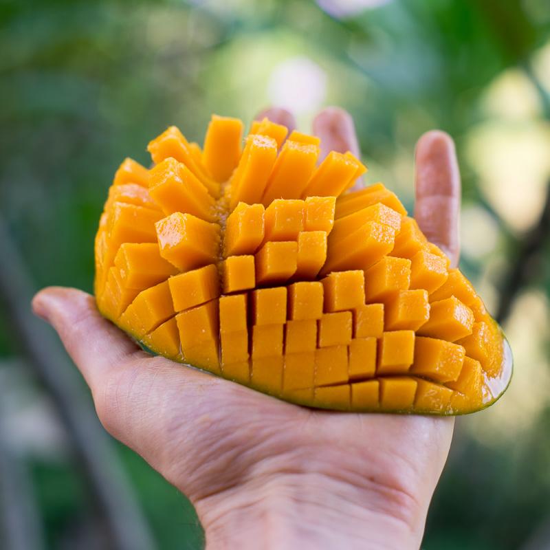 Mango Manalagi