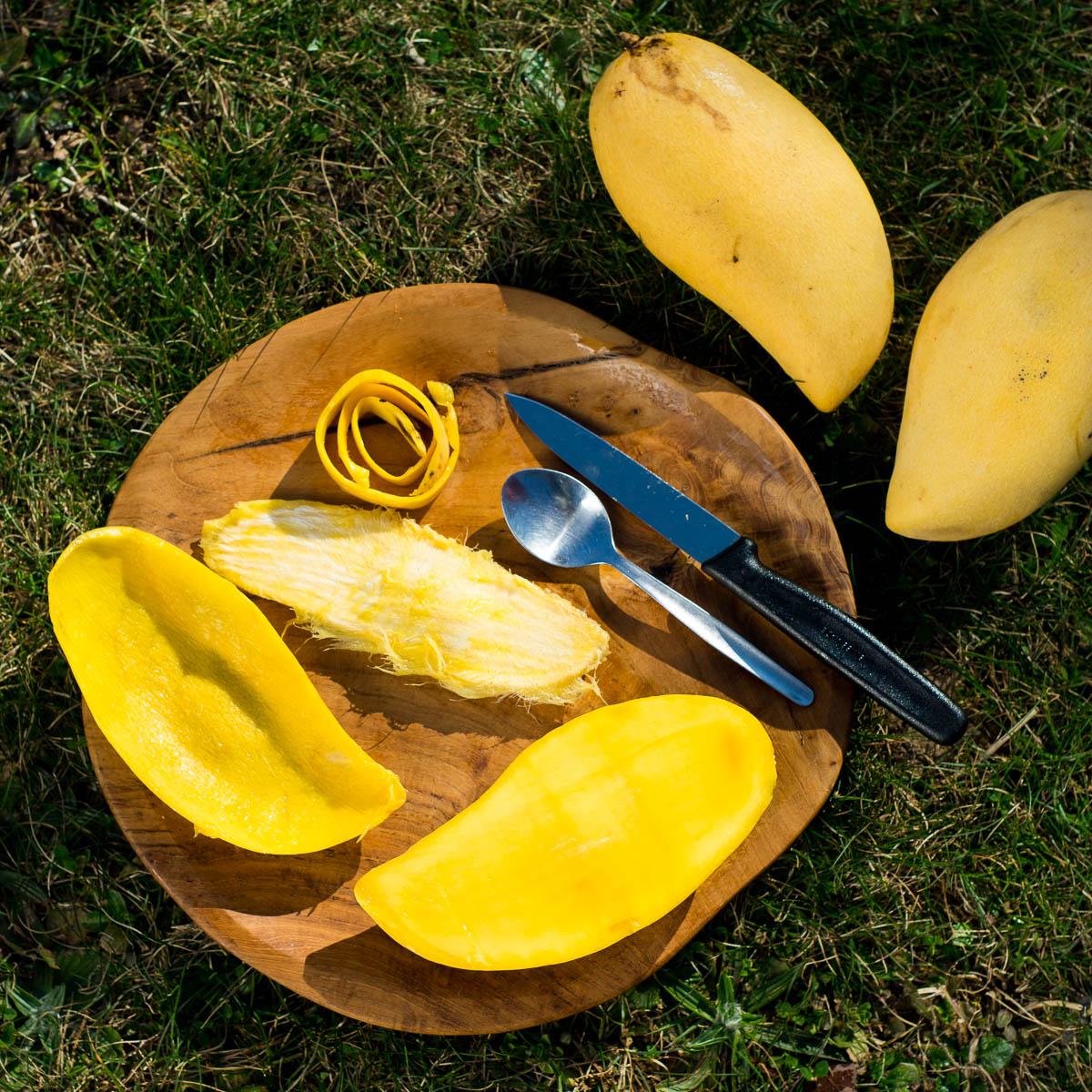 Mango Nam Dok Mai