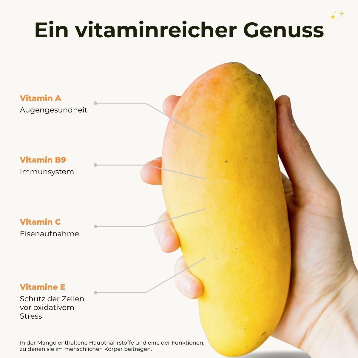 Mango Nam Dok Mai