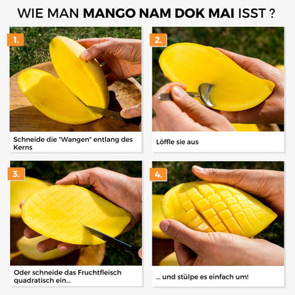 Mango Nam Dok Mai