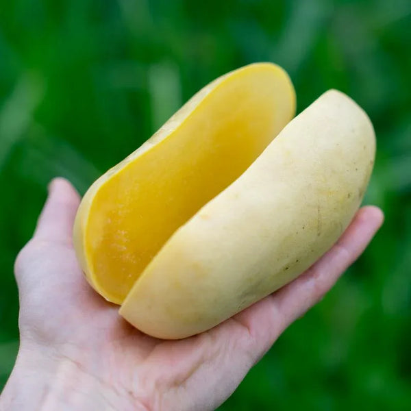Mango Okrong