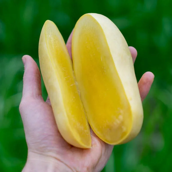 Mango Okrong