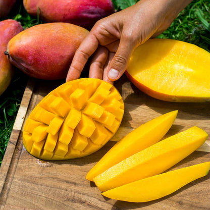 Mango Osteen