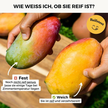 Mango Osteen