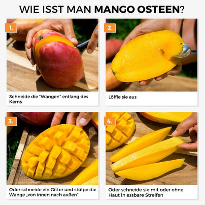 Mango Osteen