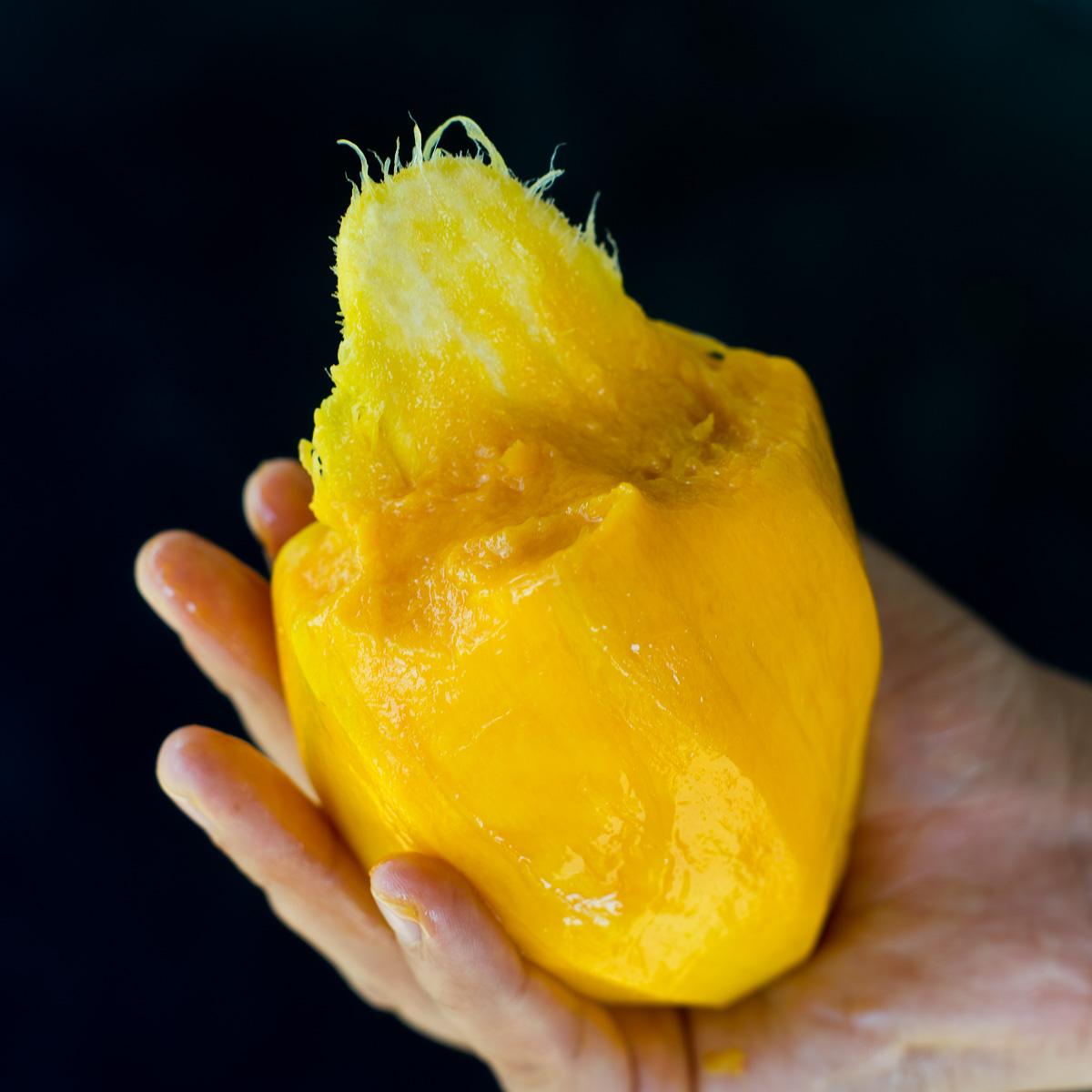 Mango Palmer