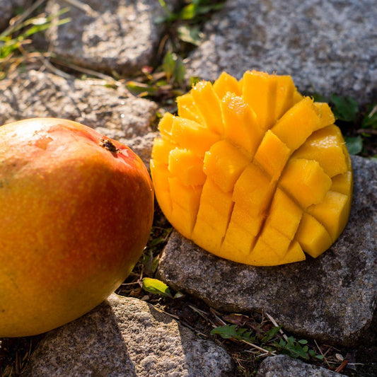 Mango Paradisio