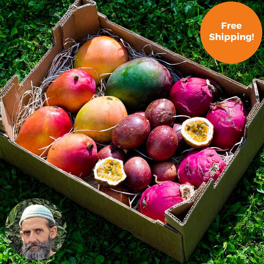 Mango & Dragon Fruit Box