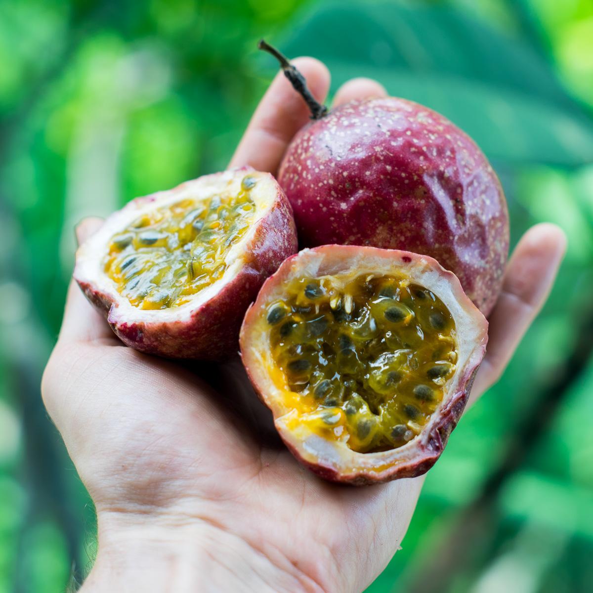 Mango & Passionfruit Box