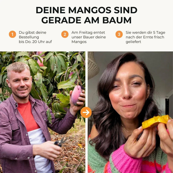 Mangue mix variétés