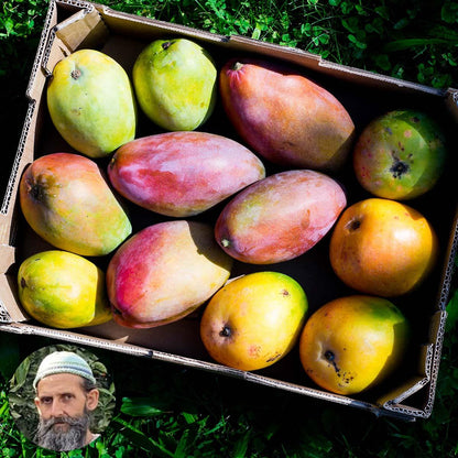 Mangoes of Andalusia