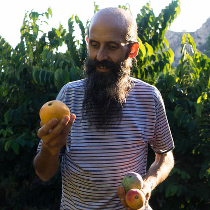 Mangoes of Andalusia