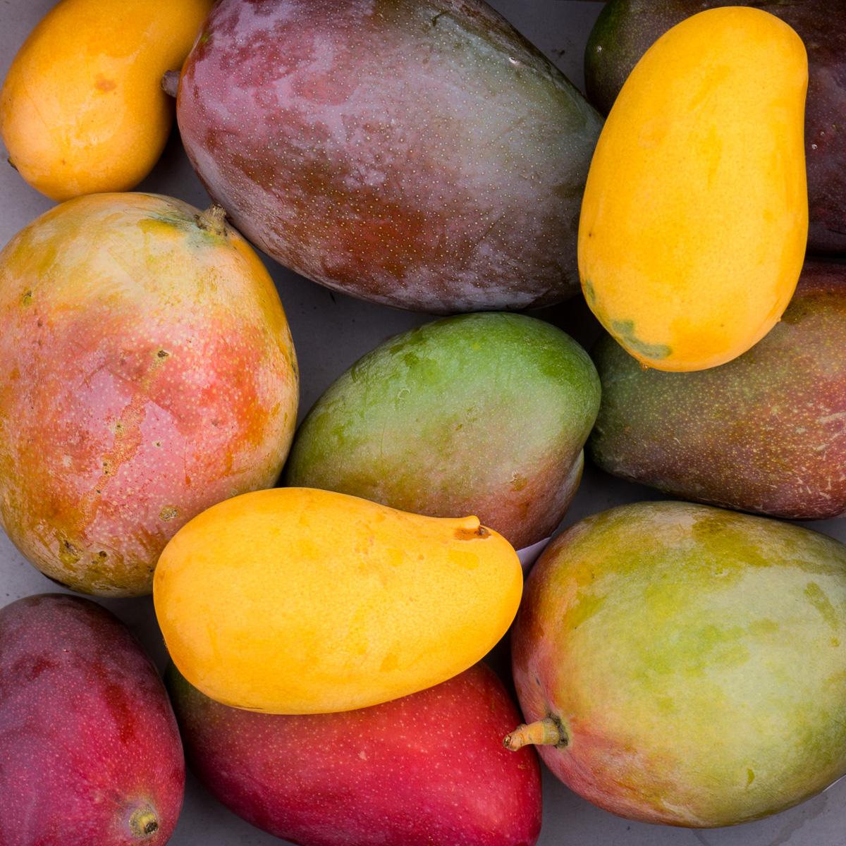 Mangoes of Andalusia