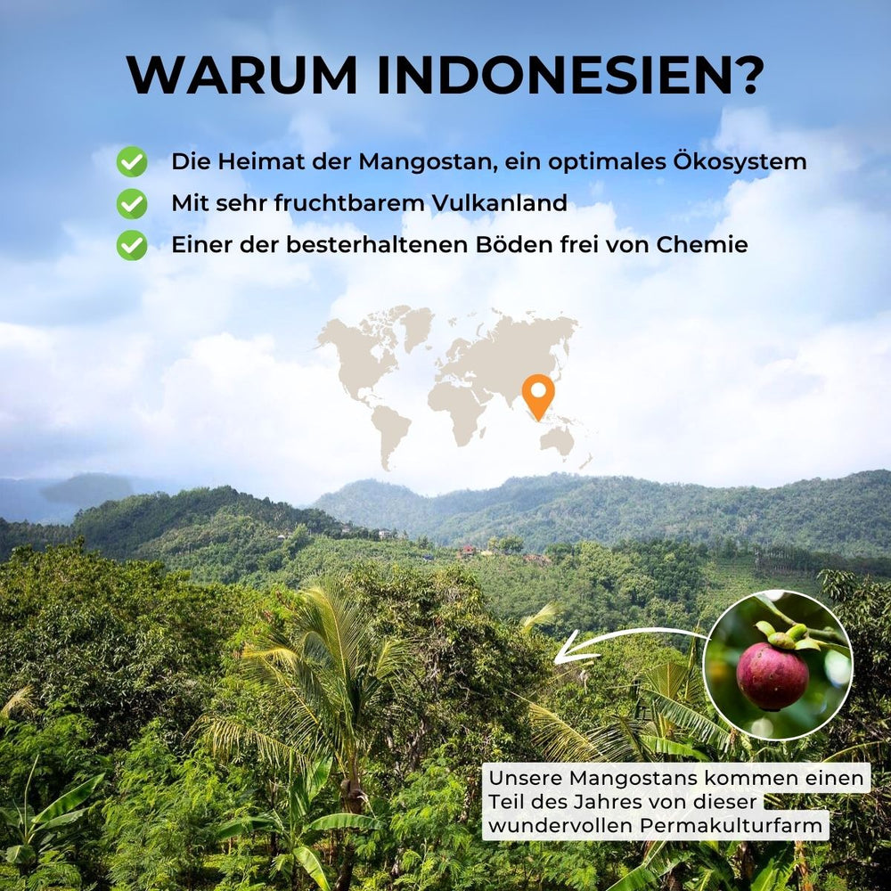 Mangostan