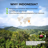 Mangosteen