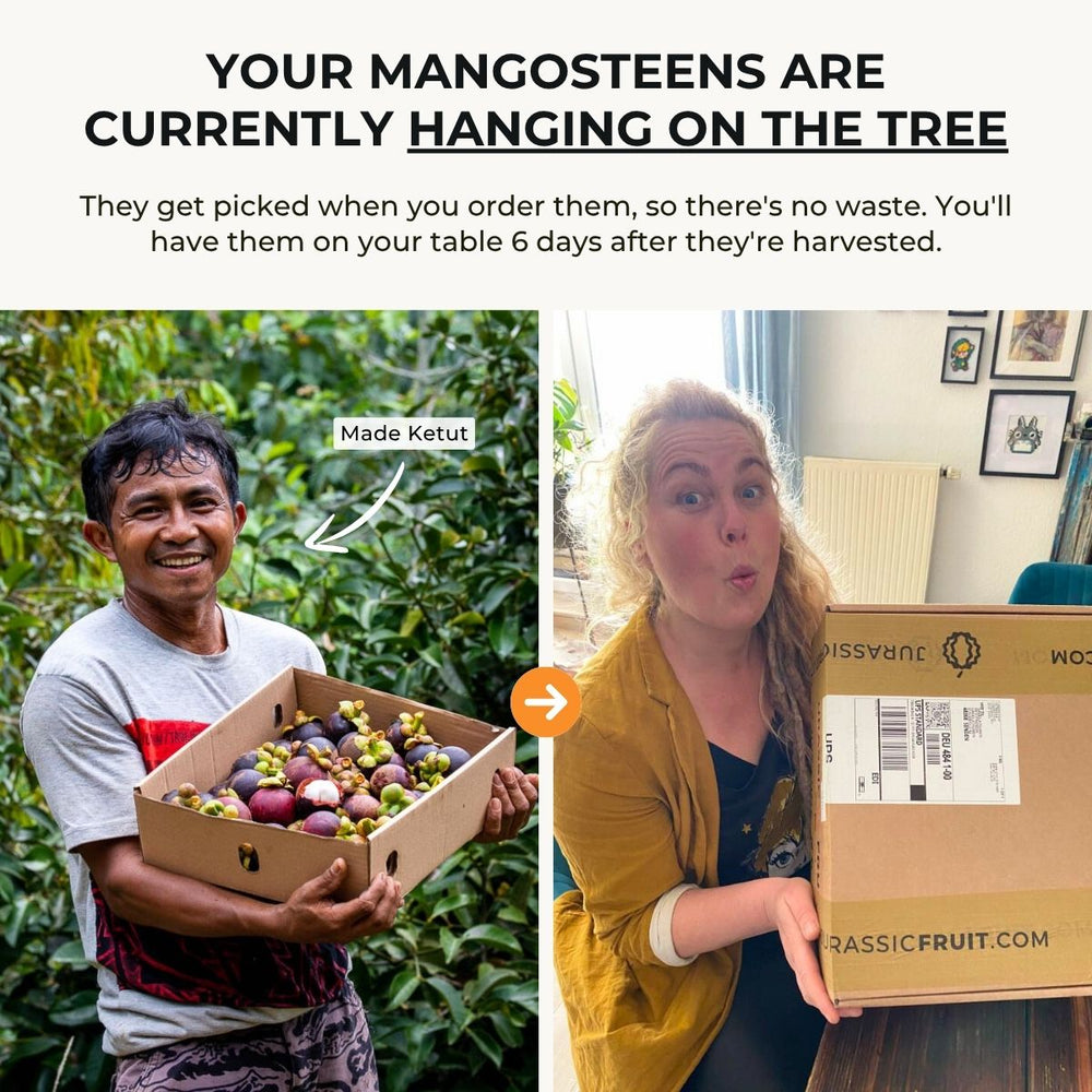 Mangosteen