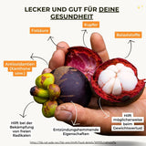Mangostan