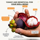 Mangosteen