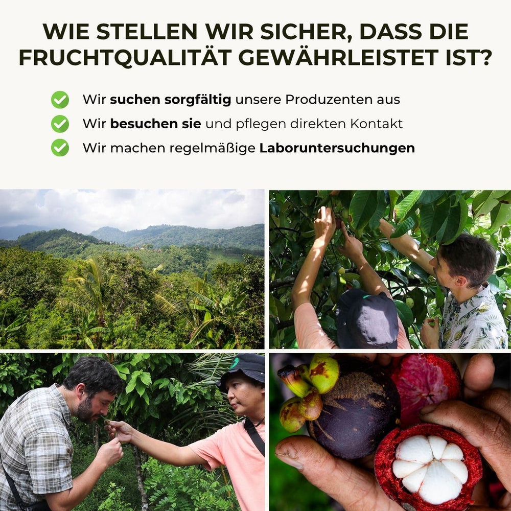 Mangostan