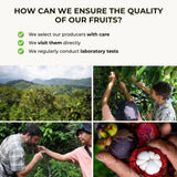 Mangosteen