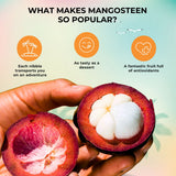 Mangosteen