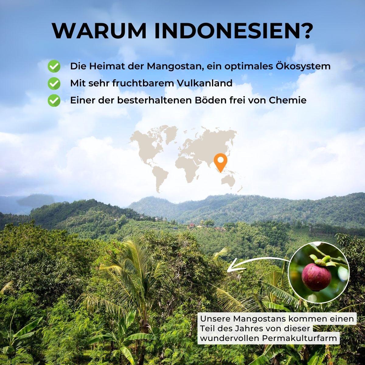 Mangosteen