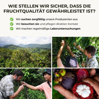 Mangosteen