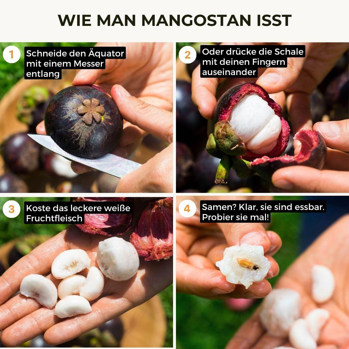 Mangosteen