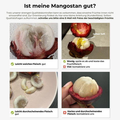 Mangosteen