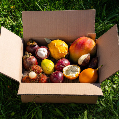 Box Découverte Fruits exotiques