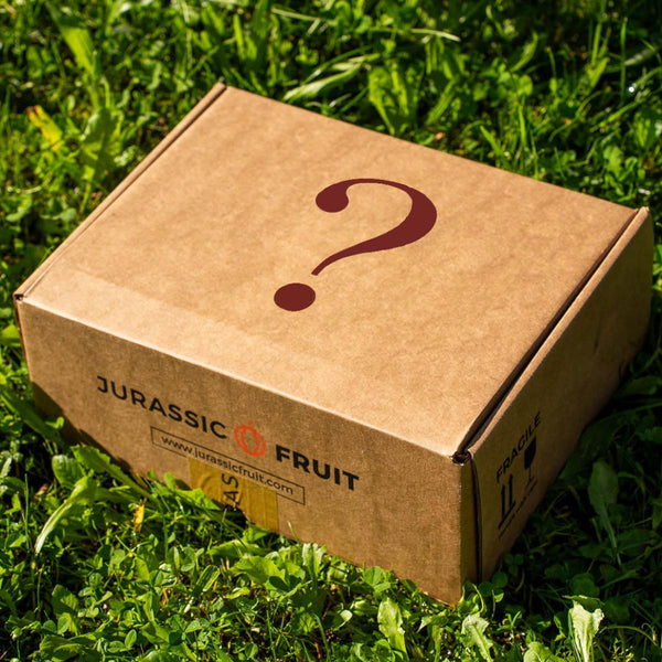 Box Surplus