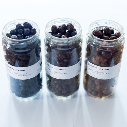Bundle 3 Olives