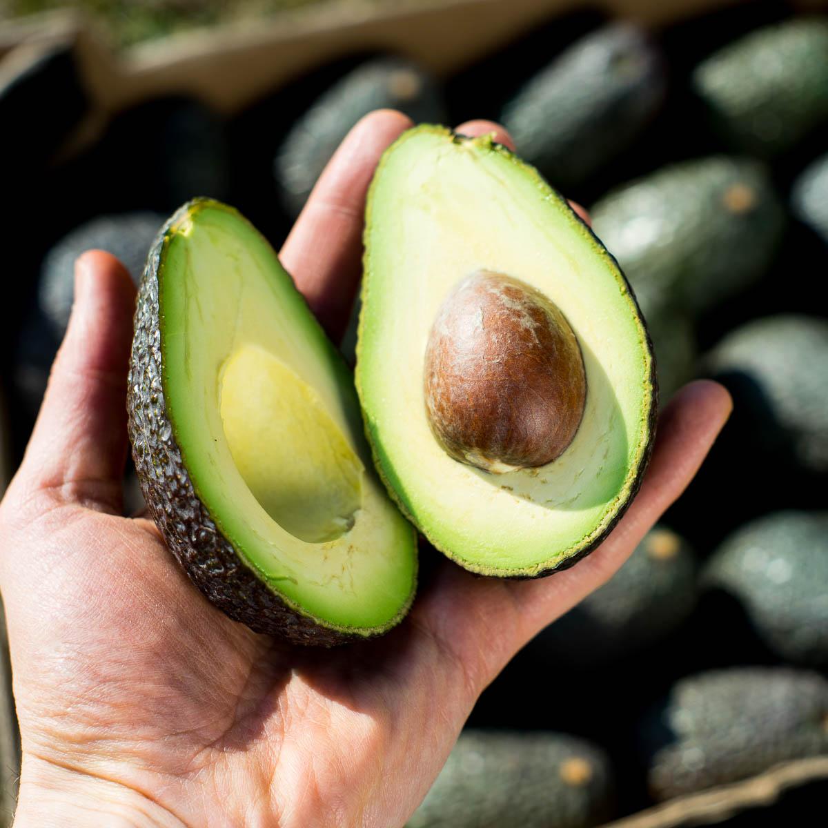 Orange Avocado Box