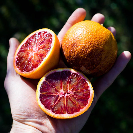 Orange Blood