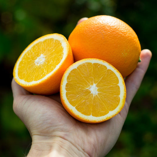 Orange Navelina