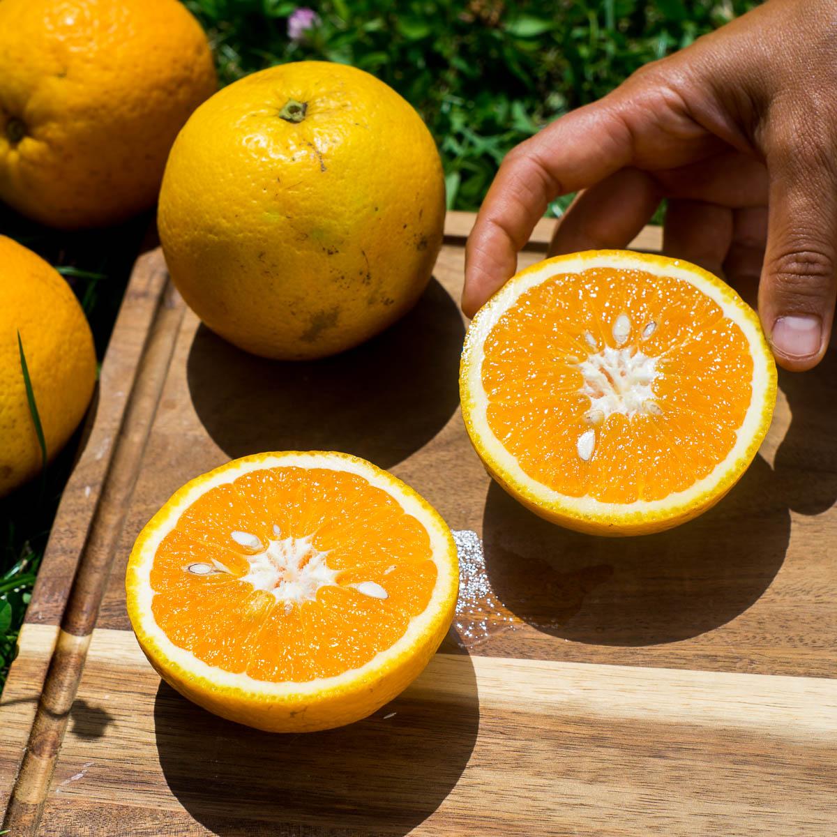 Orange Valencialate