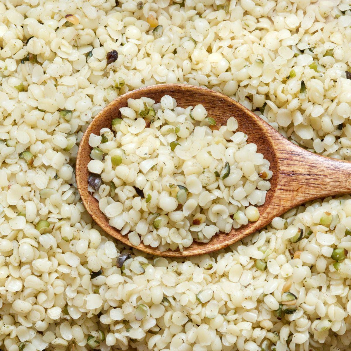 Organic Raw Hemp Seed-Yacon spread Ingvi
