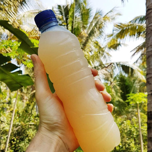 Palm Juice