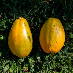 Step 1 - Check Ripeness