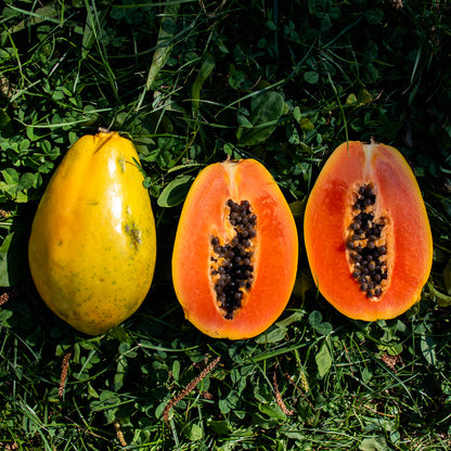 Papaye Golden