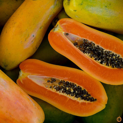 Papaya Nila
