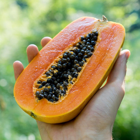 Papaya Nila